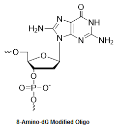 Bio-Synthesis Inc. Oligo Structure